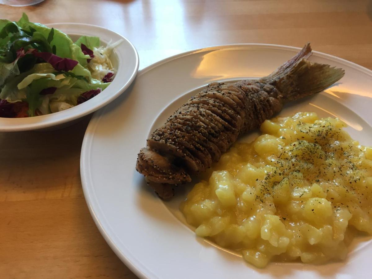 诺伊霍夫安德泽恩 Zenntaler Hof酒店 外观 照片